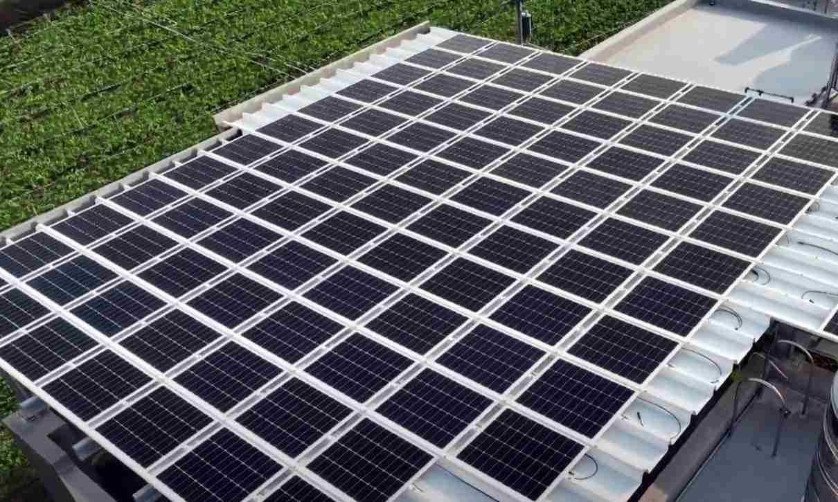 z6mg·人生就是博SunSteel光电浪板升级双玻结构，，以提升机械负载强度及气候耐候度，，，，可广泛运用于多元场域